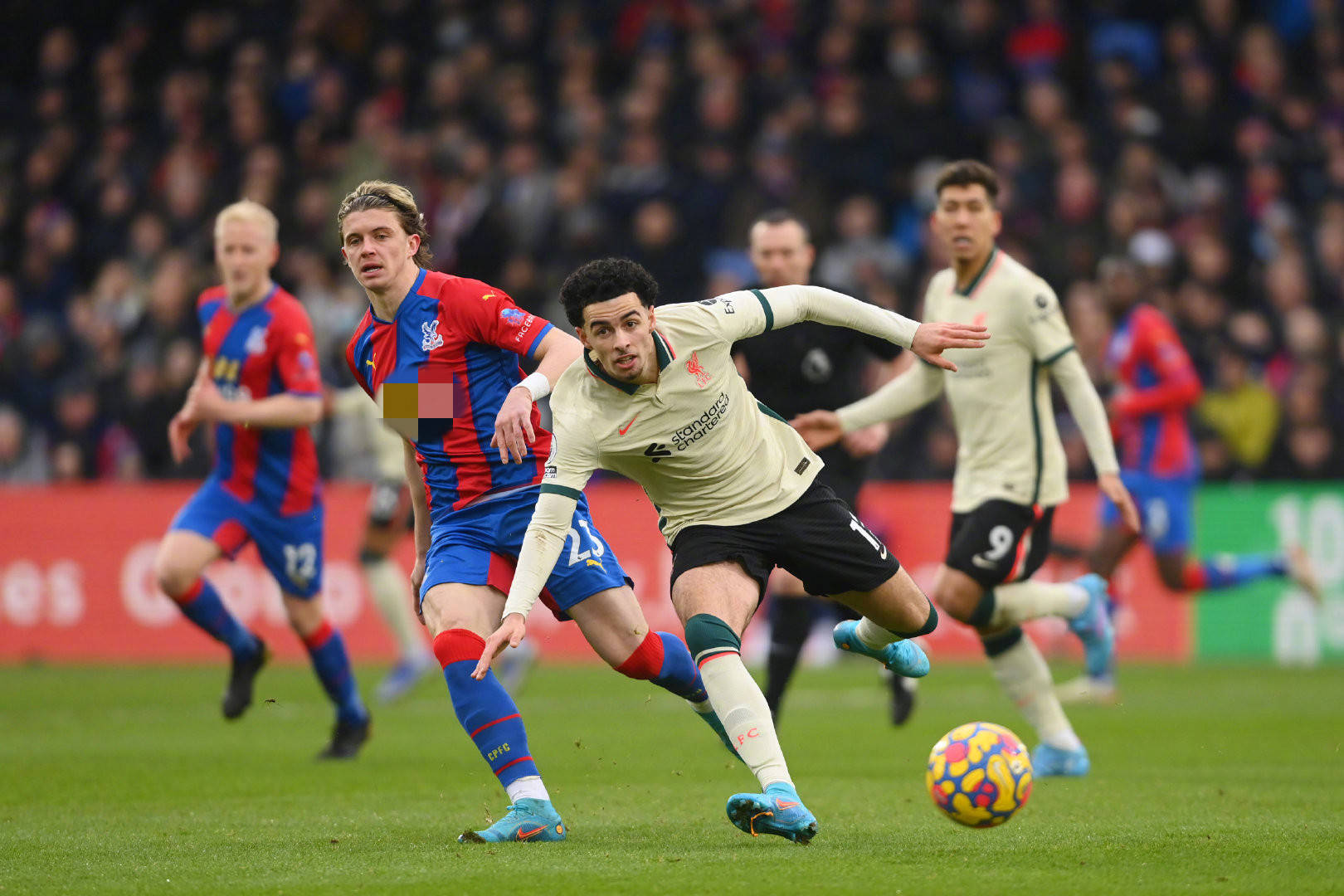 来发展的信 来发展的信